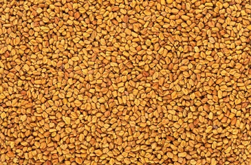 Pískavice semínko BIO 10 kg